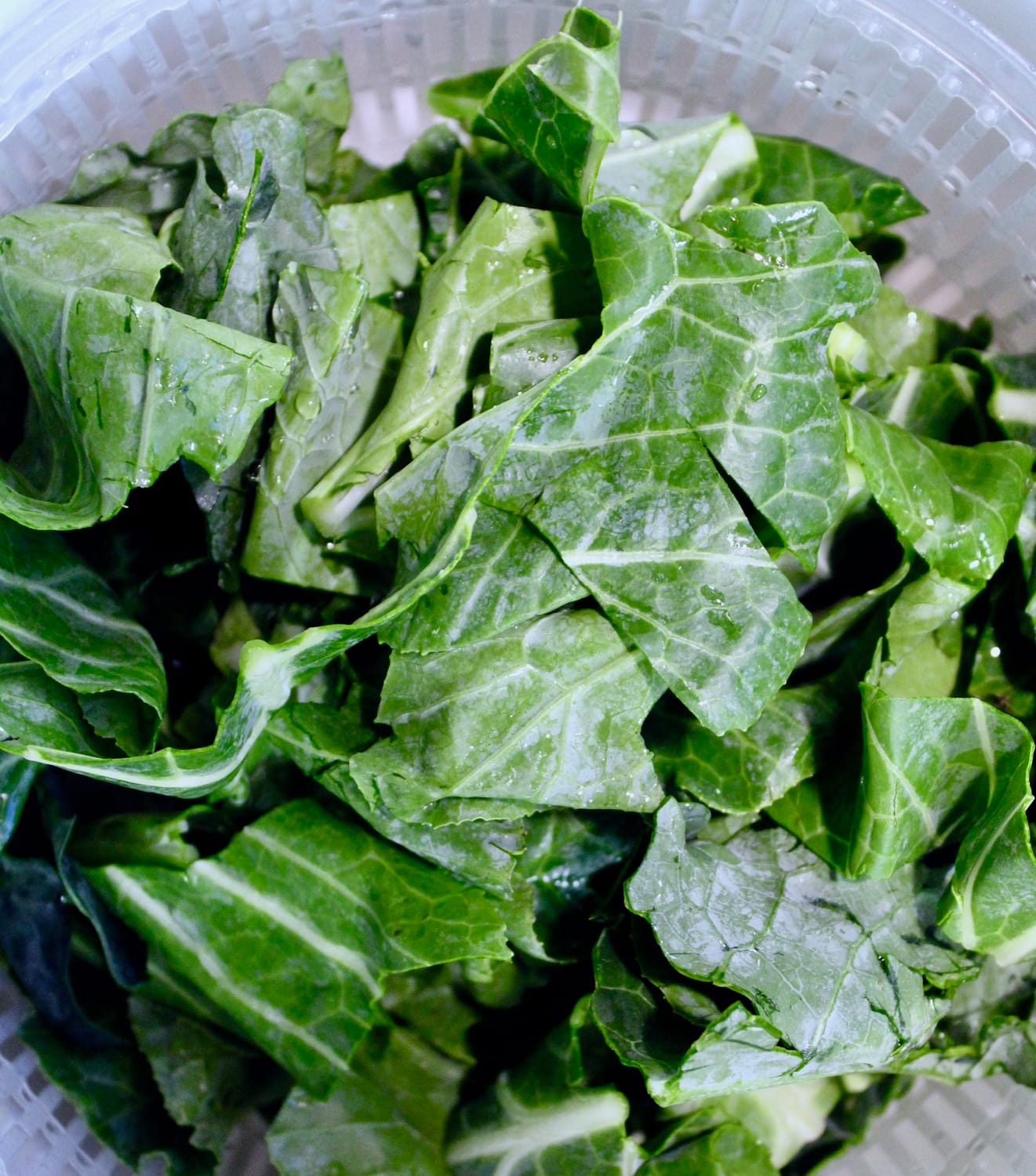 Collared Greens in the salad spinner.