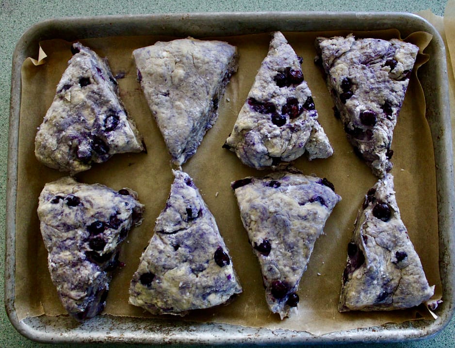 Blueberry scones before baking